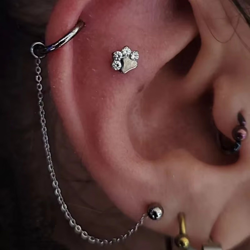 Титановая цепочка для носа, тр – обзор и цена Body Jewelry Nose